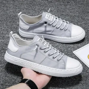 Petdrik Men Casual Canvas Shoes